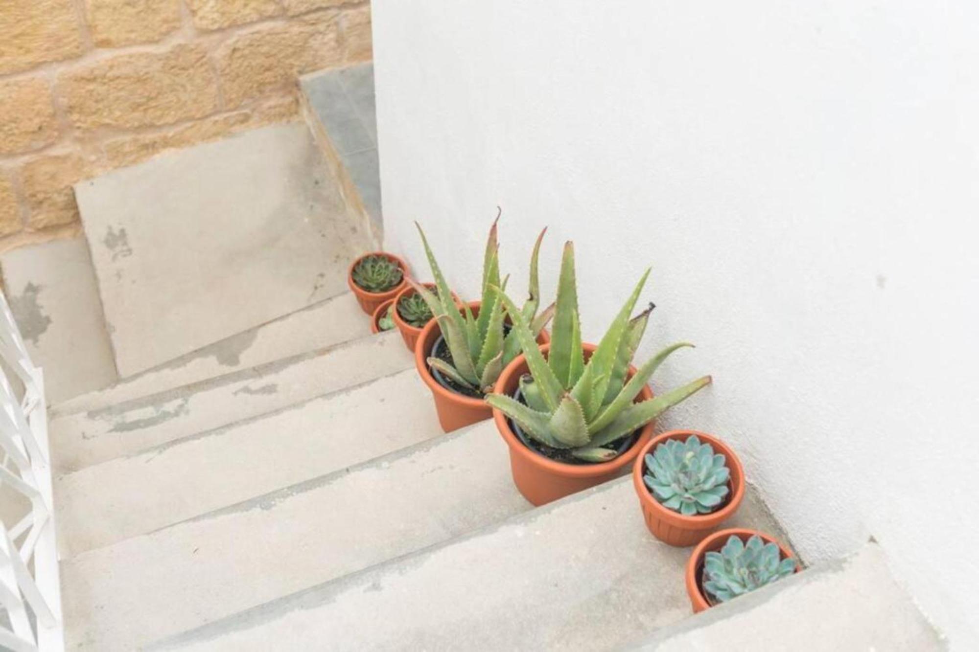 Authentic Gf Apartment With Terrace At The 3 Cities Marina Cospicua Extérieur photo